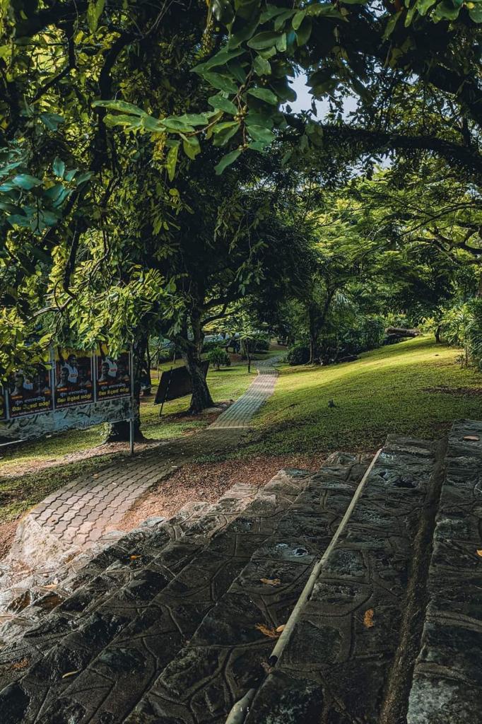 University of Kelaniya card image