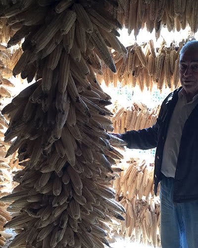 Pànxing Berguedà: «Josep Costa, agricultor y escairador»