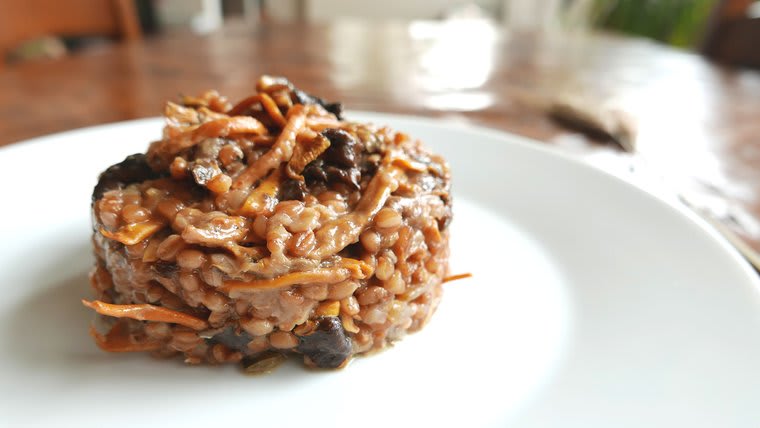 «Blatotto» (o risotto de trigo) de setas