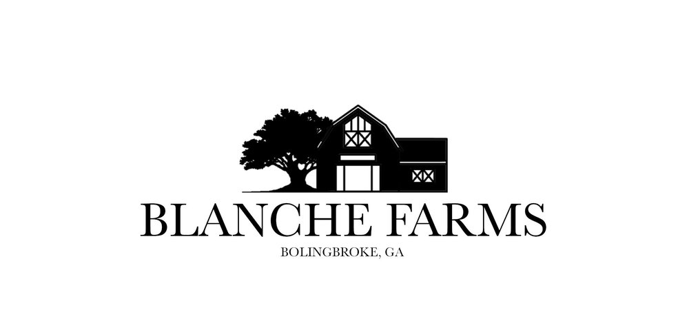 Riding Lessons At Blanche Farms