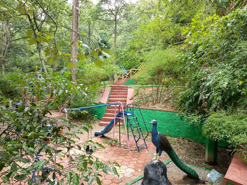 Butterfly Park