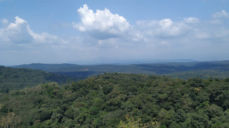 Oottupara Tourist Spot Alapra