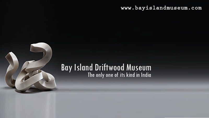 Bay Island Driftwood Museum
