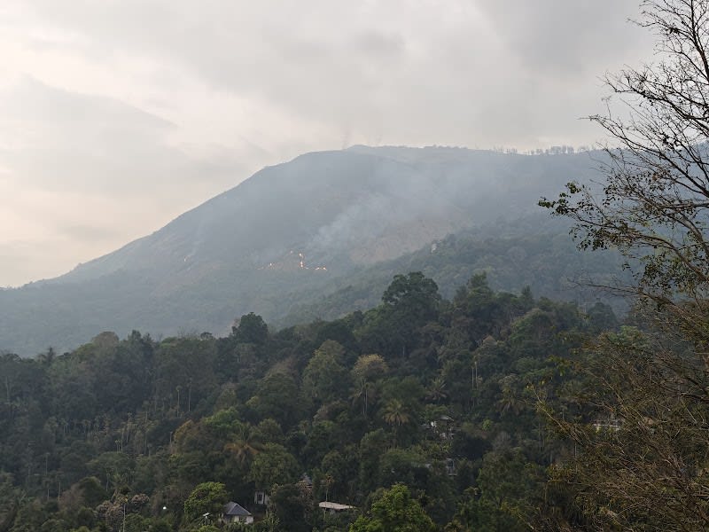 Pothamedu view point (Koodaram)