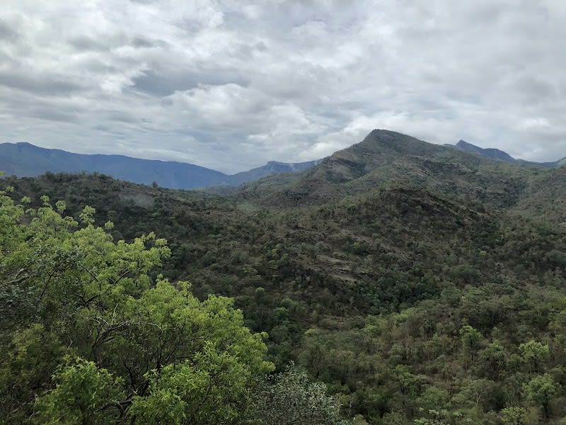 Chinnar Wildlife Sanctuary