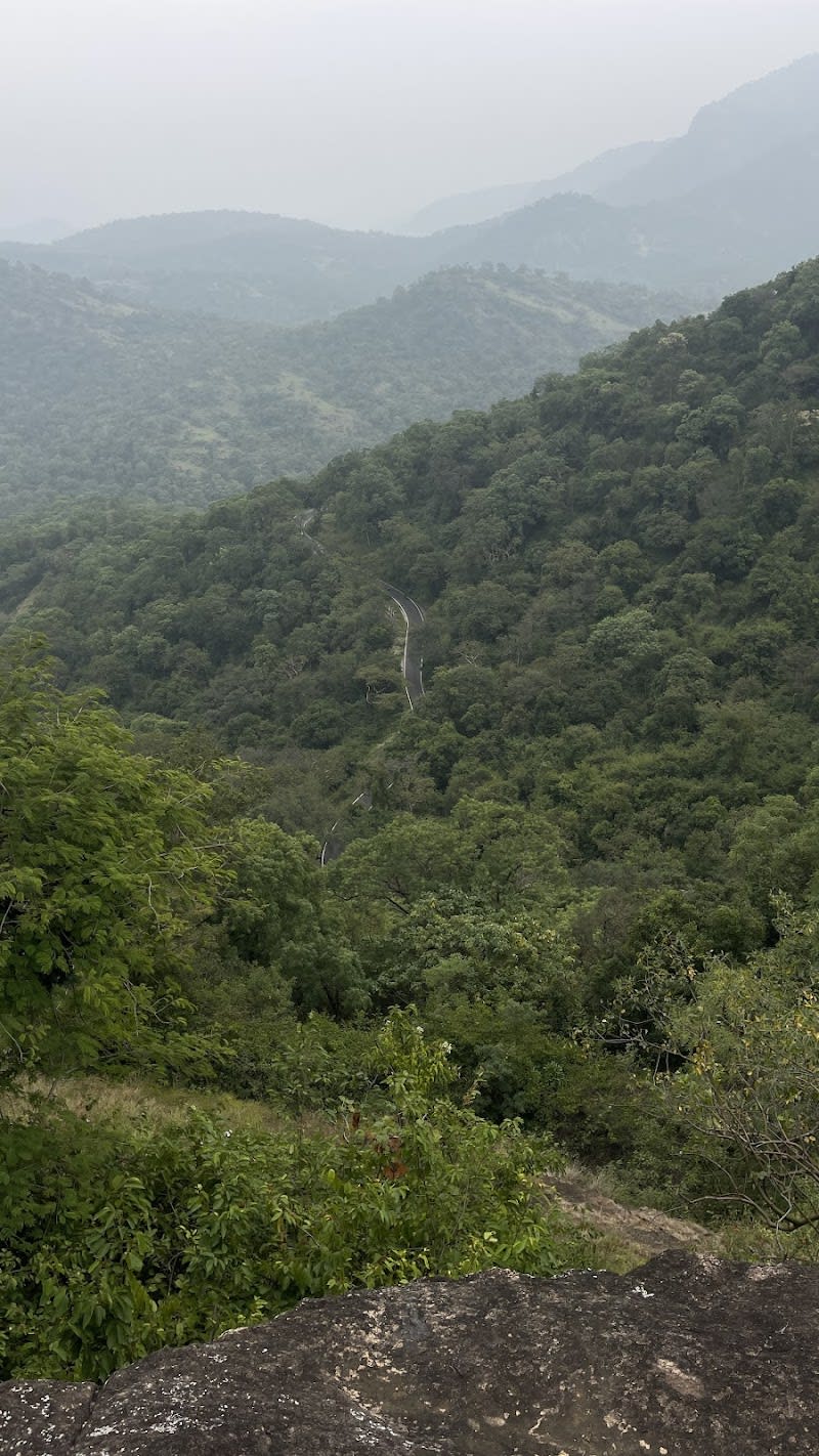 Chinnar wildlife