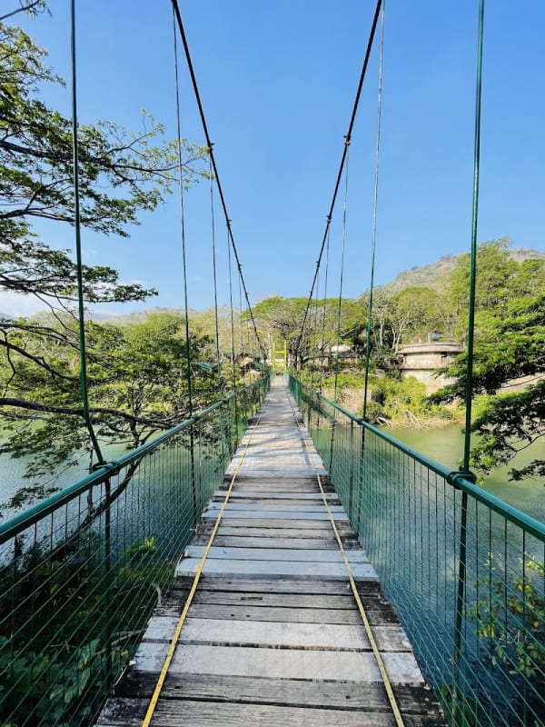 Thenmala Hanging Bridge