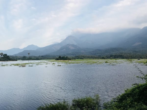 Kava View Point - East