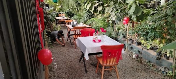 Garden Cafe The Pepper Lounge