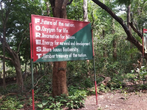 Dhoni Waterfalls