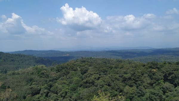Oottupara Tourist Spot Alapra