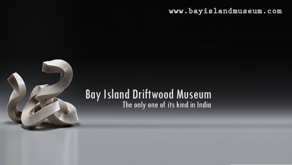 Bay Island Driftwood Museum