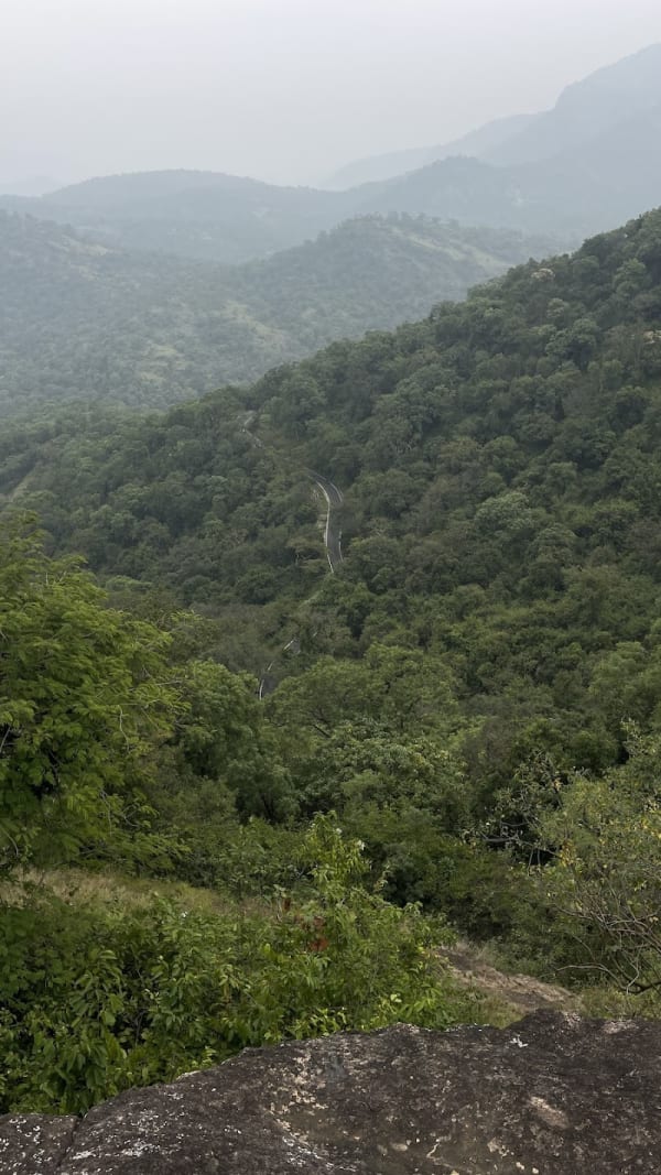 Chinnar wildlife