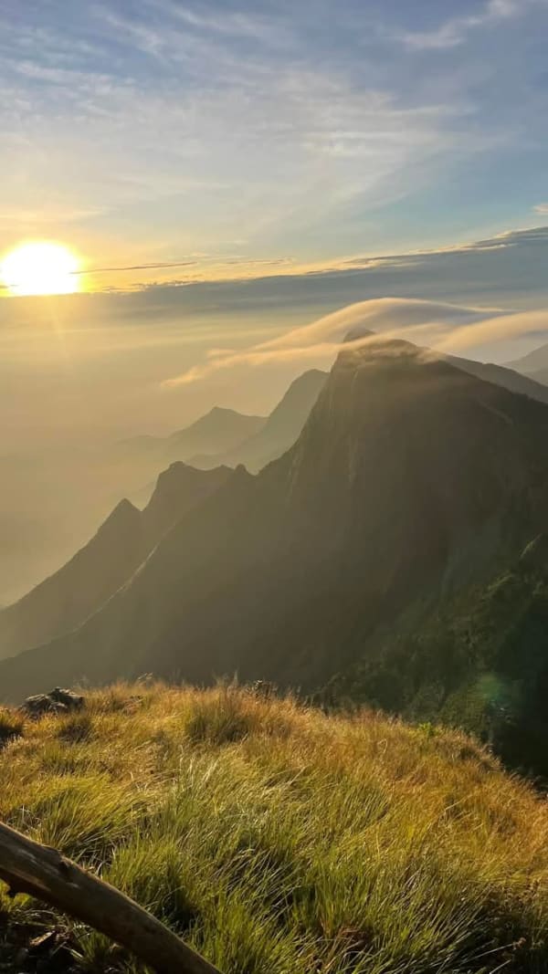 Munnar Nature Camp