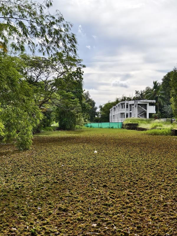Vembanad Lake Resort