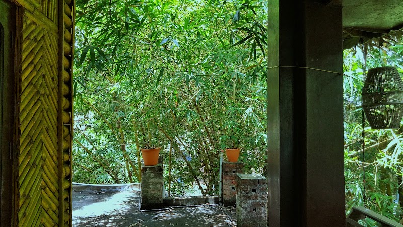 Gallery 4