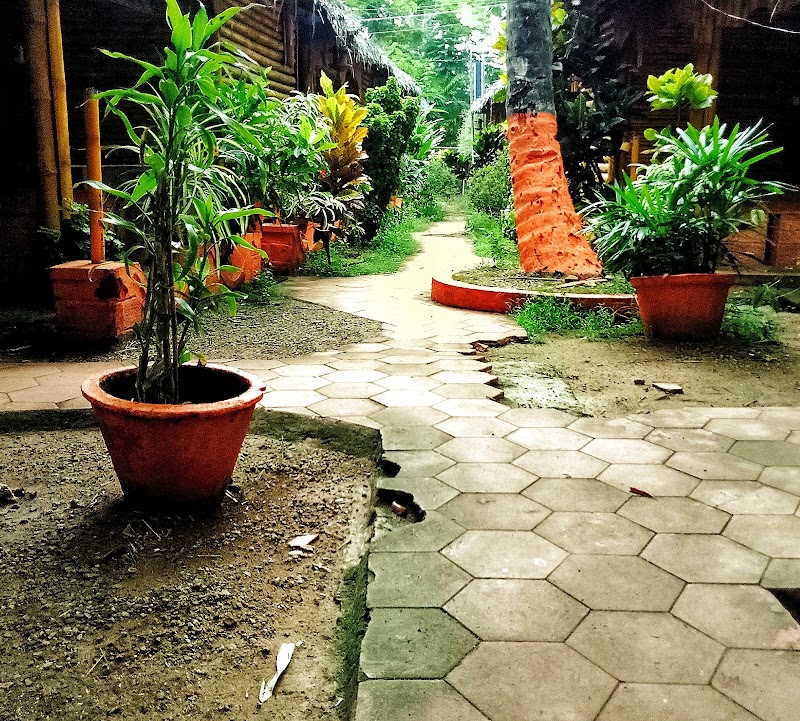 Gallery 5