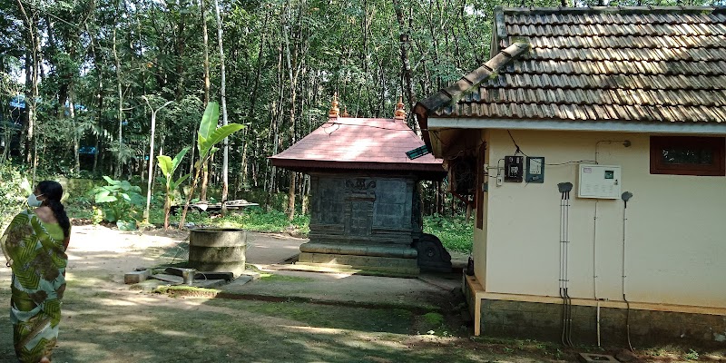 Gallery 1