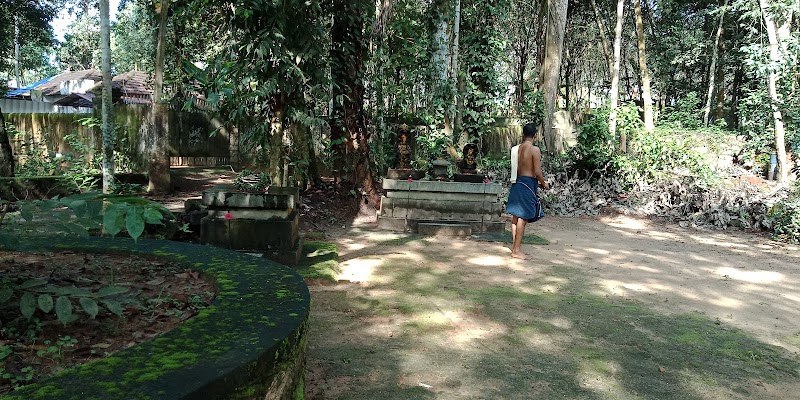 Gallery 3