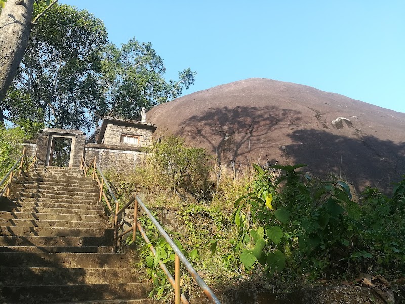 Gallery 3