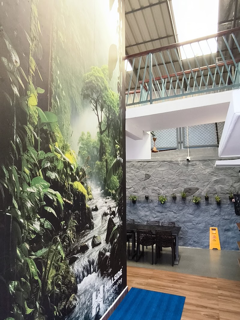Gallery 3