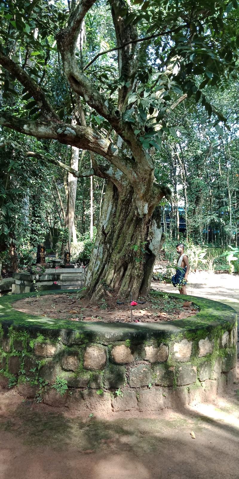 Gallery 2