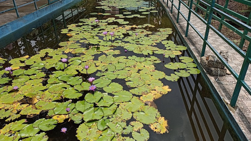 Gallery 4