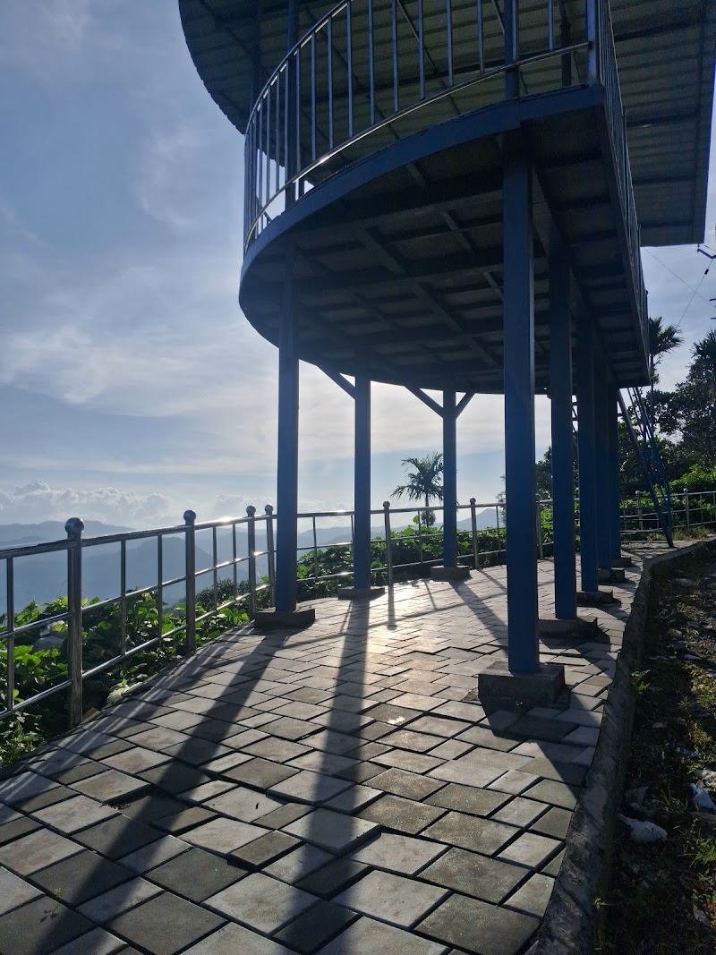 Gallery 2