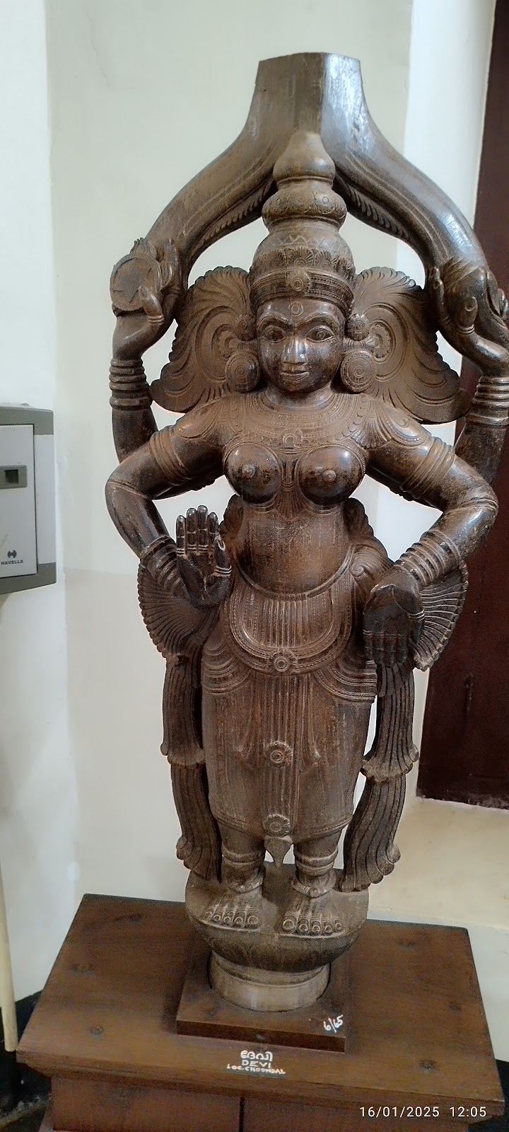 Gallery 1