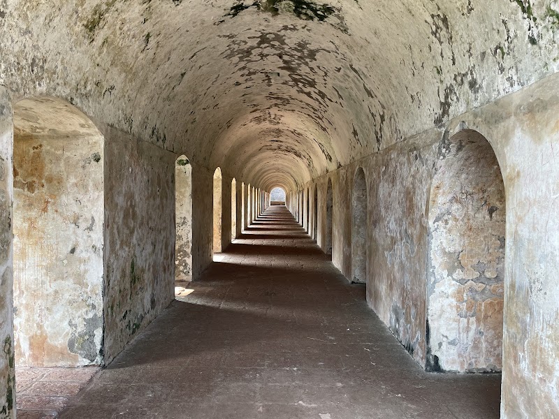 Gallery 5