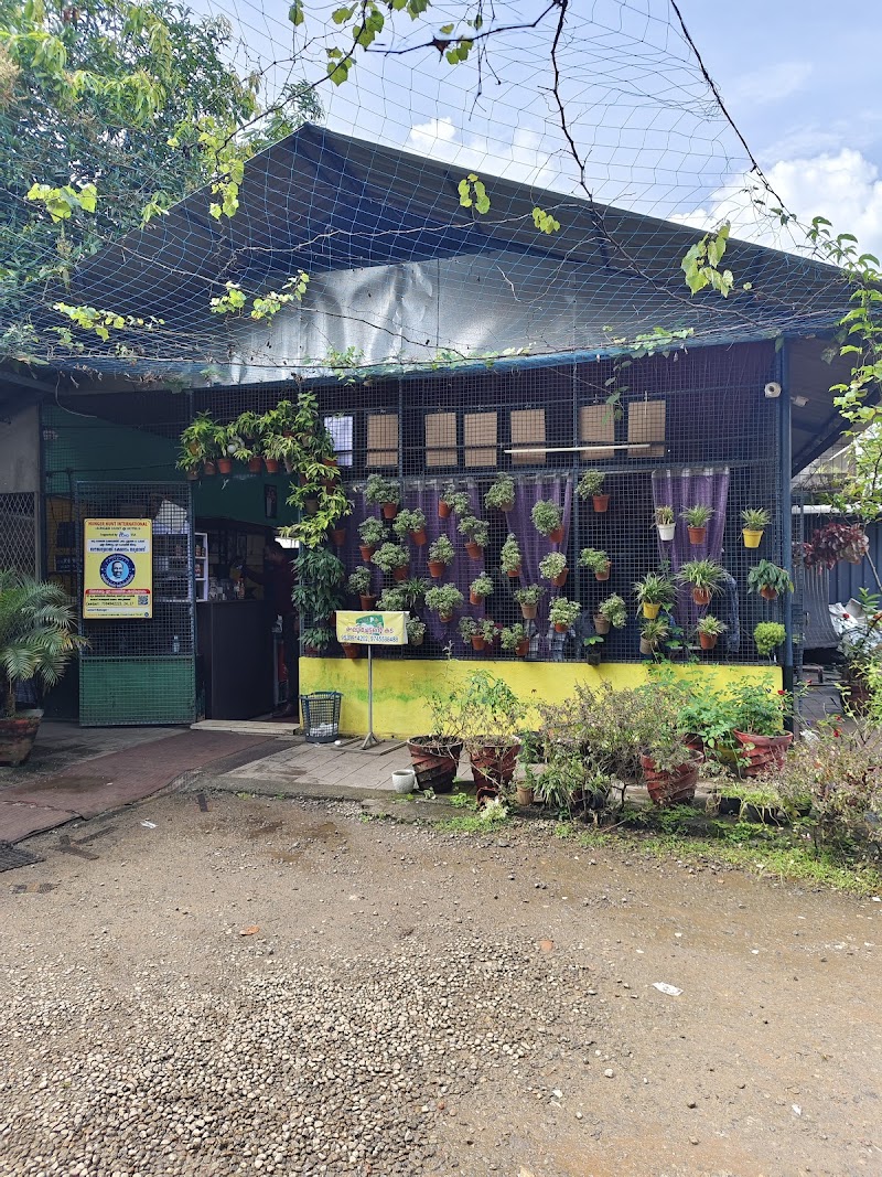 Gallery 5