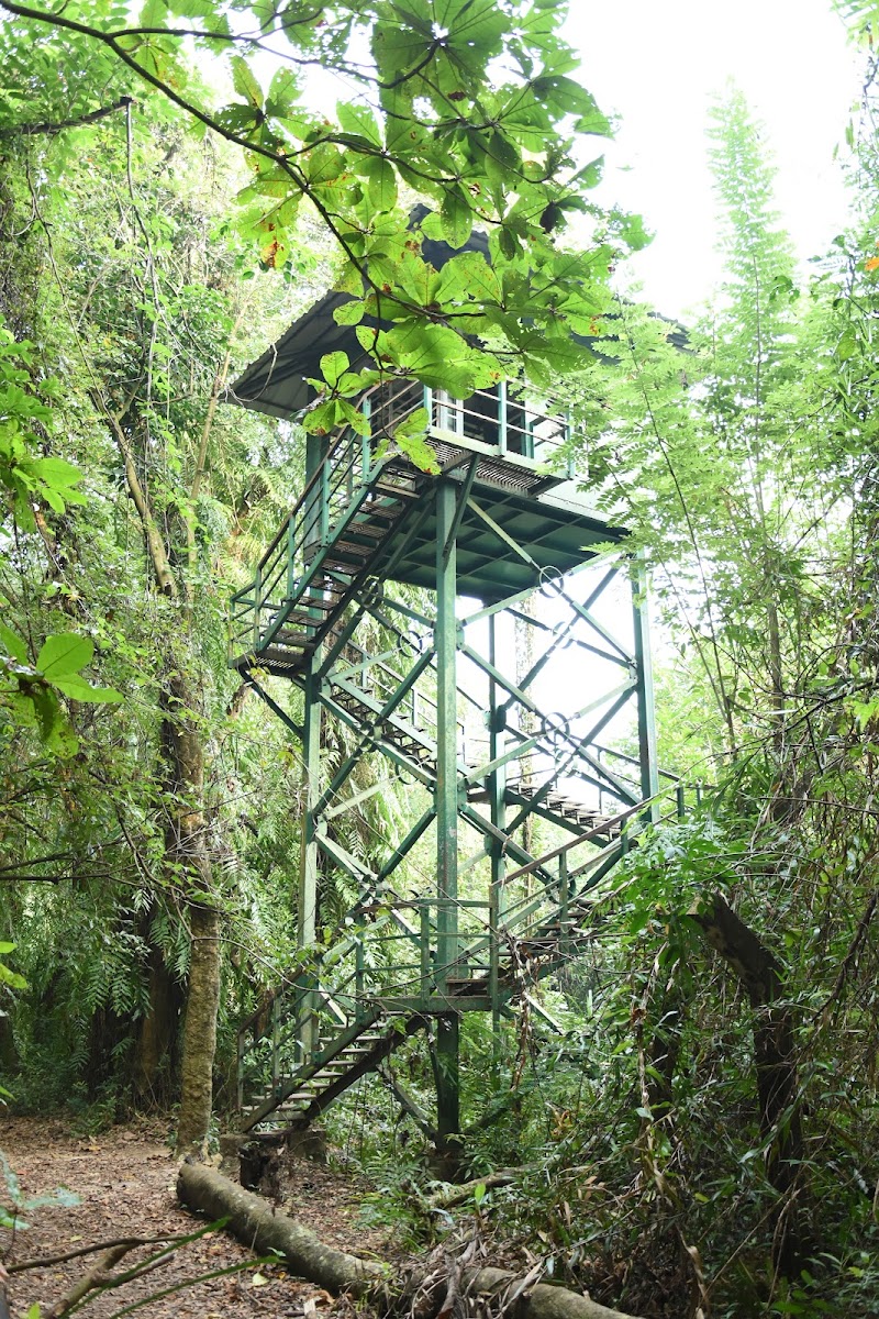 Gallery 2