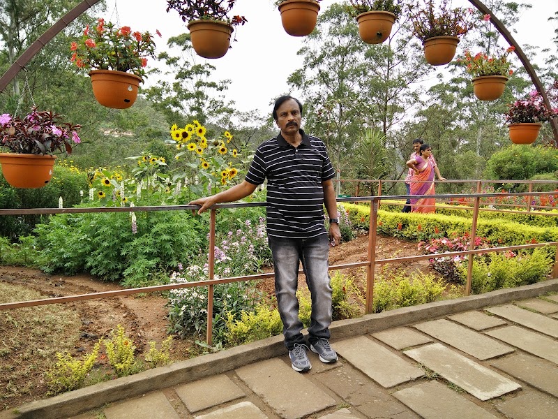 Gallery 4