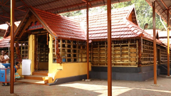 Gallery 3