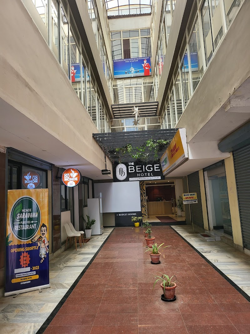 Gallery 5