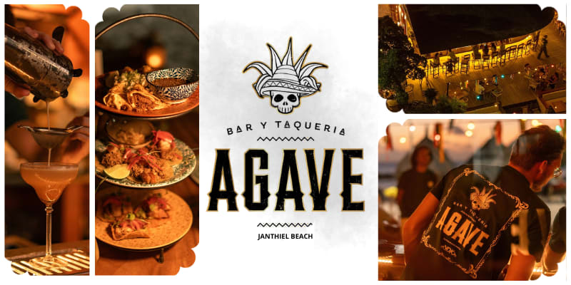 AGAVE JAN TIEL