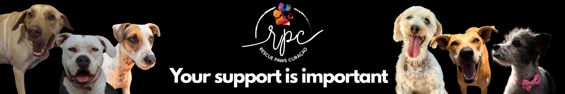 Rescuepawscuracao