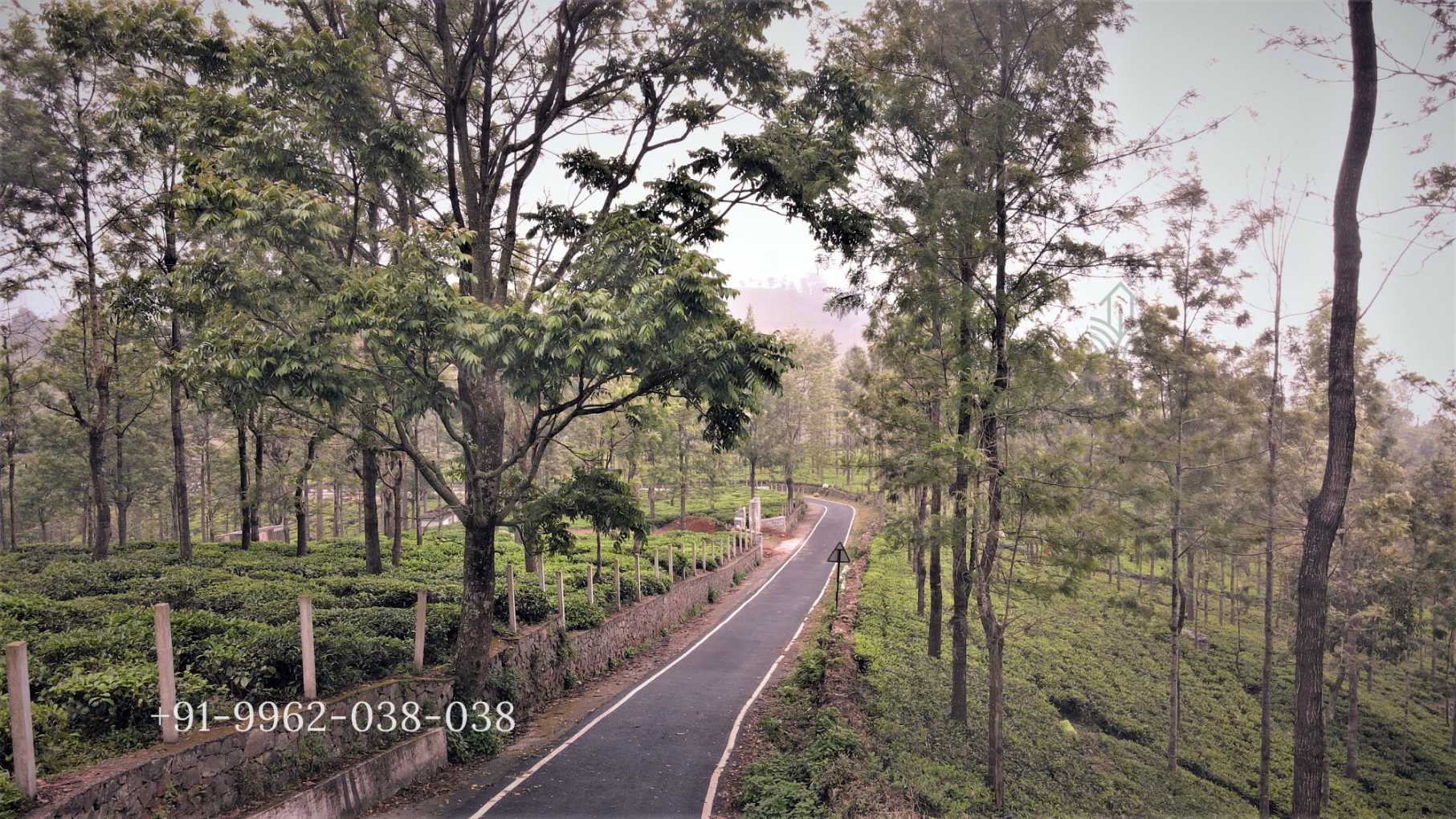 kotagiri villas