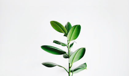 Minimalismus im Studium