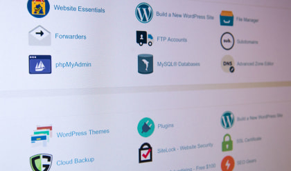 Worauf sollte man bei der Wahl eines Themes bei WordPress achten?