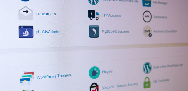 Worauf sollte man bei der Wahl eines Themes bei WordPress achten?