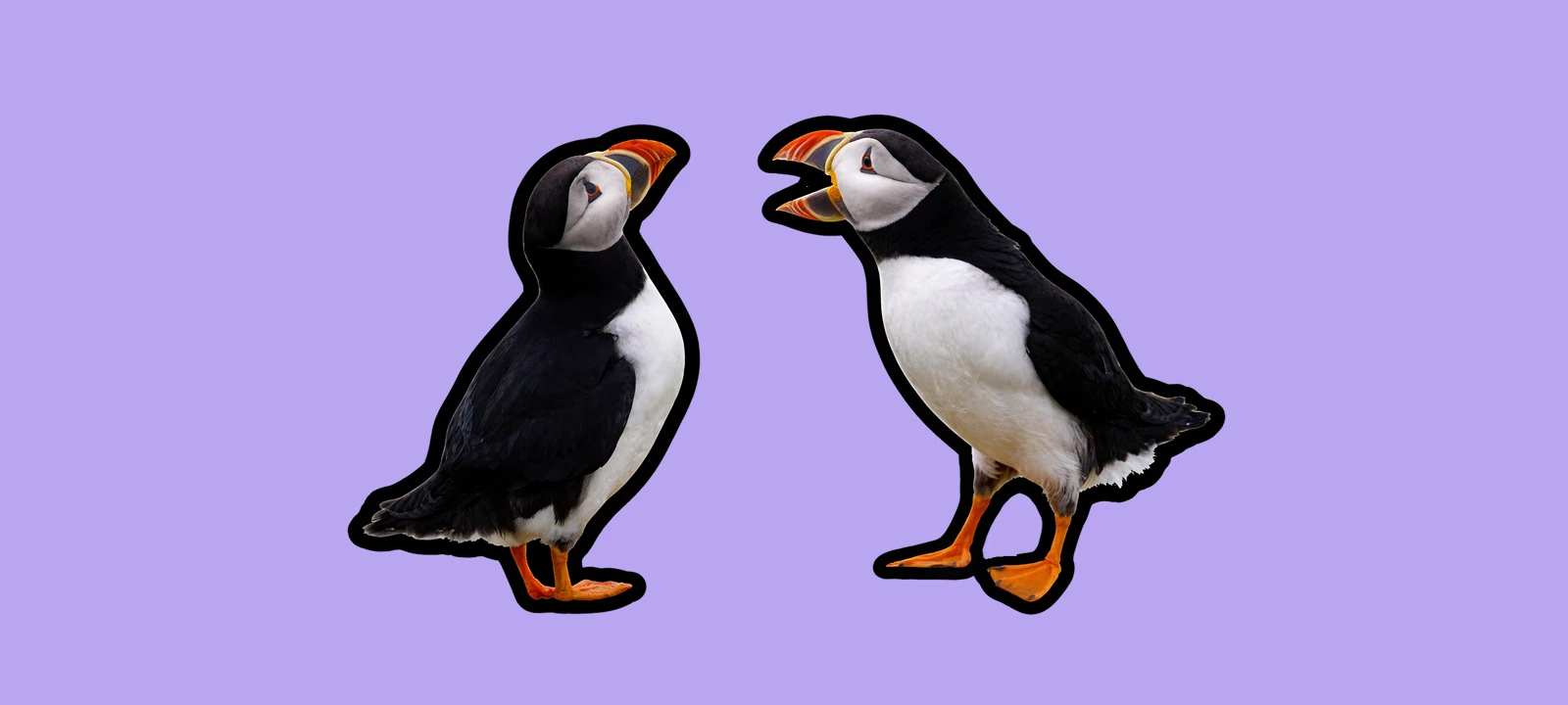 Projektkommunikation verbessern: So gelingt Teamkommunikation im Projekt