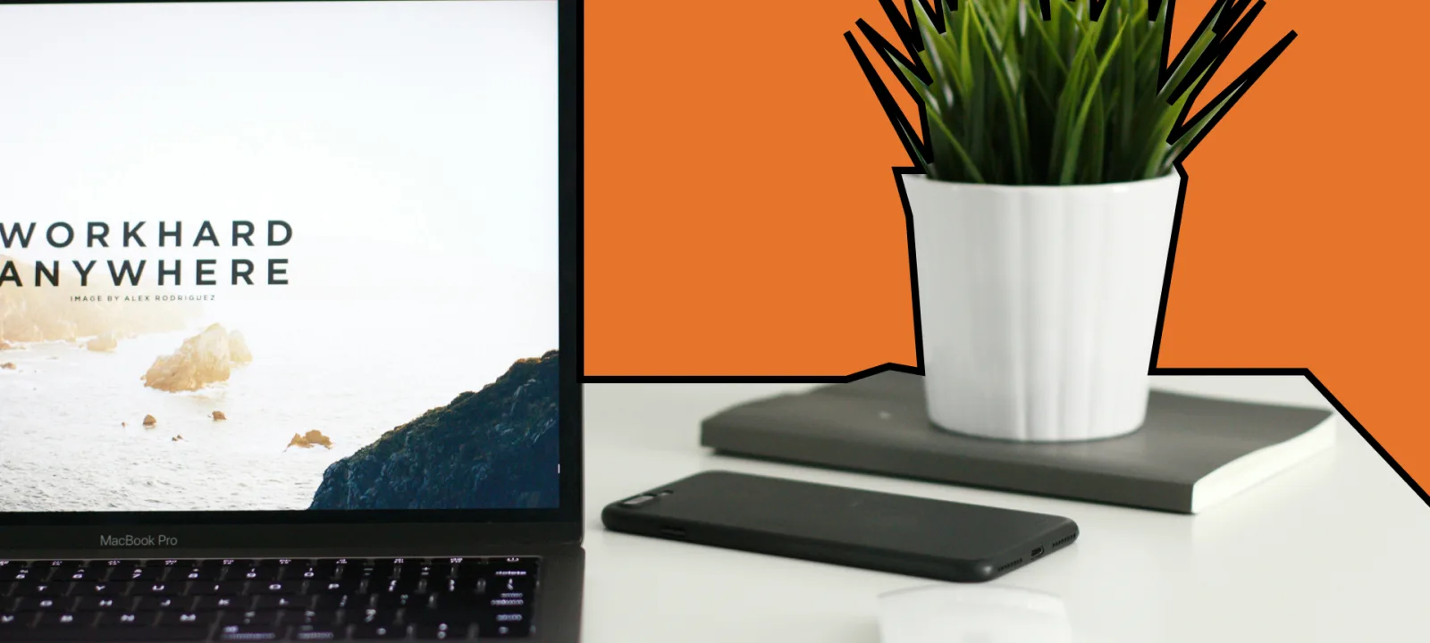 Guter Webhoster mit Persönlichkeit: Im Interview mit webgo