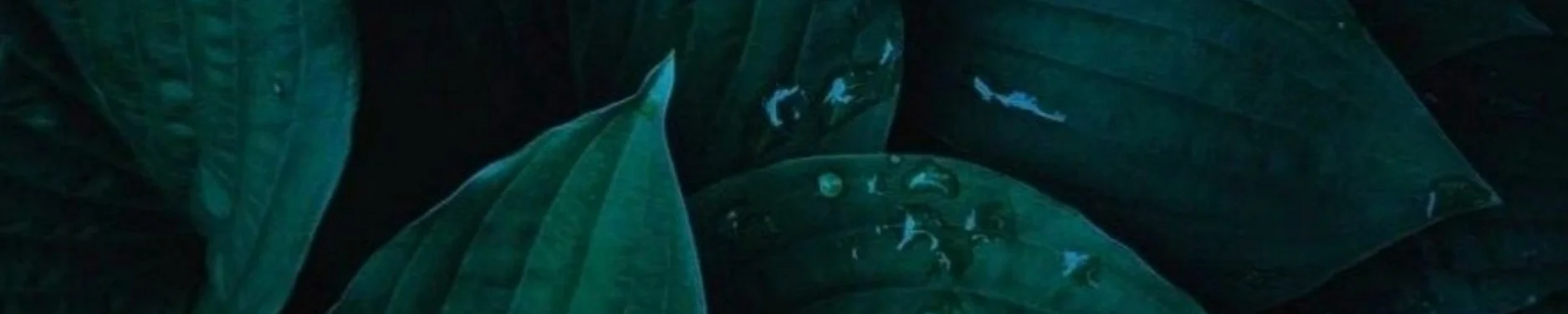 Patricia Hintergrundbild