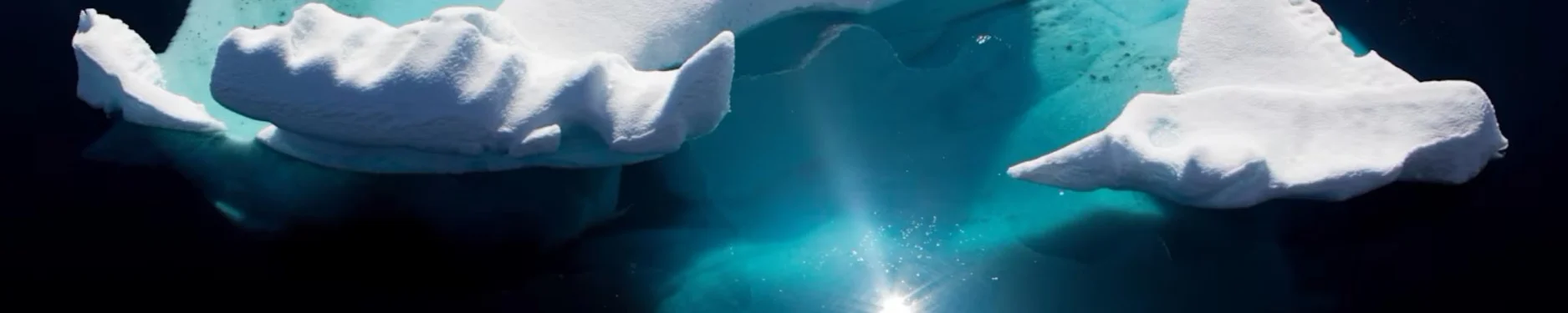 Beatrice Hintergrundbild