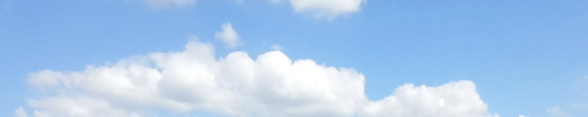 Sara Hintergrundbild