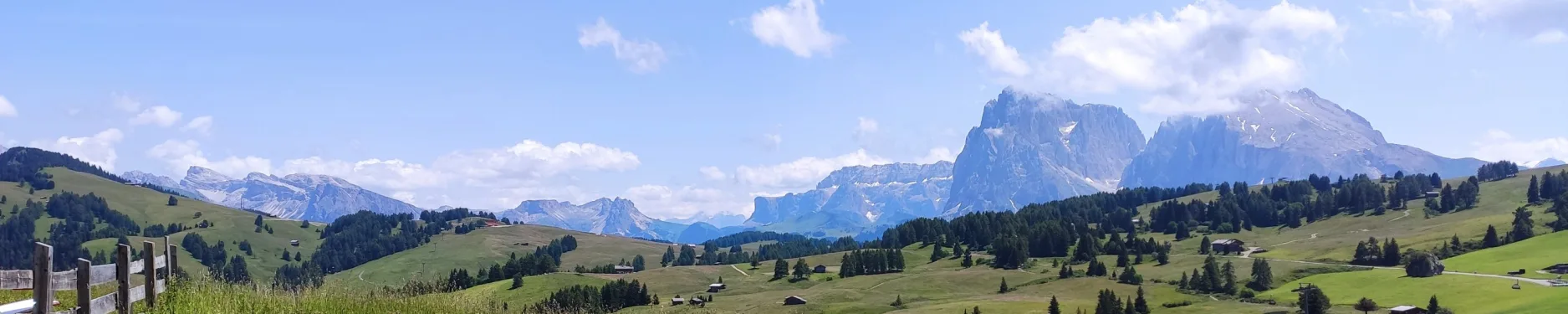 Benjamin Hintergrundbild