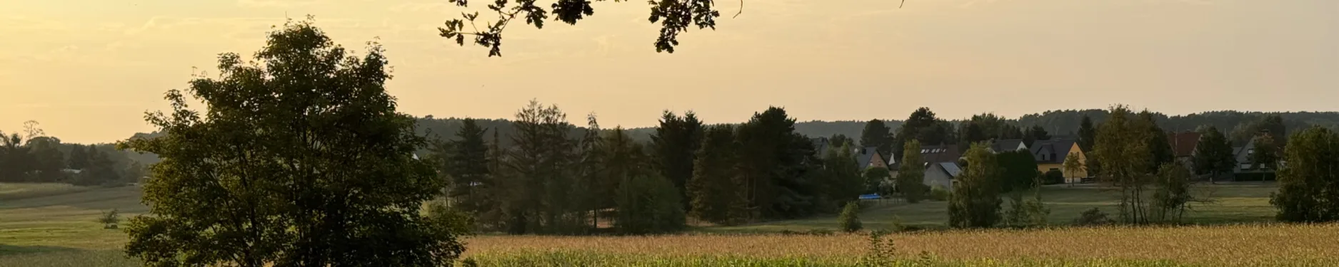 Anton Hintergrundbild