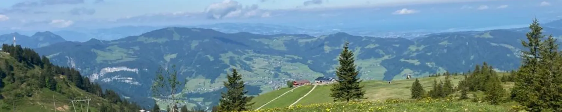 Tim Benjamin Hintergrundbild