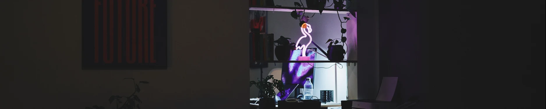 Tobias Hintergrundbild